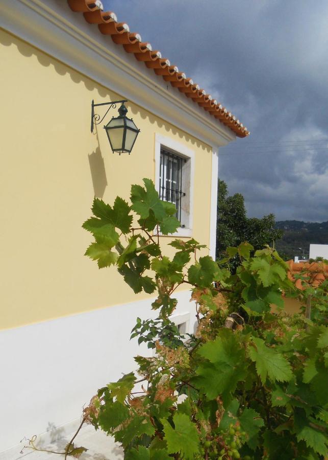 Bed and Breakfast Galo Preto - Urban Agriculture - Healthy Food Sintra Exterior foto
